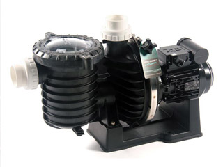 Image Pompe piscine Sta-Rite 5P6R STANDARD 31m³/h 3CV triphase
