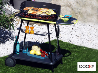 Image Barbecue Somagic QOOKA F550 au charbon de bois