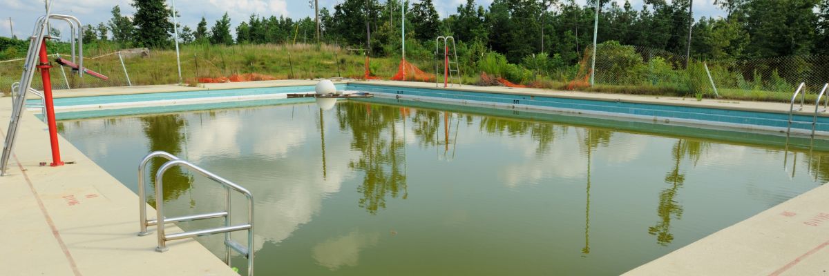 Brosse fond anti algues inox pour piscine