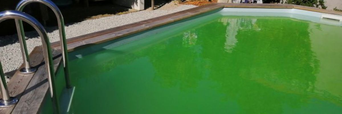 Anti calcaire pour piscine 1litre sans phosphates. lo-chlor
